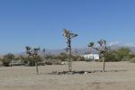 PICTURES/Slab City/t_P1000506.JPG